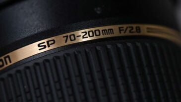 dsc 2662