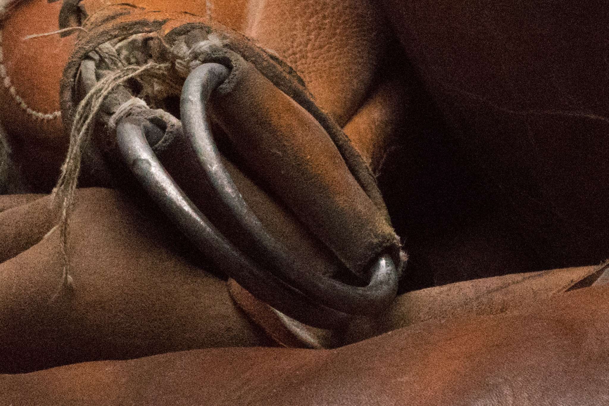 0002_ISO 25600_1-2000 Sek. bei f - 16_90 mm_ILCE-7RM2_FE 90mm F2.8 Macro G OSS-2
