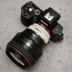 CANON EF OBJEKTIVE AN SONY ALPHA 7 VOLLFORMAT 19 IMG 5130
