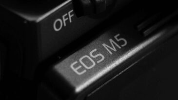 Die spiegellose EOS M5 Systemkamera von Canon im Praxistest 5 P1055001