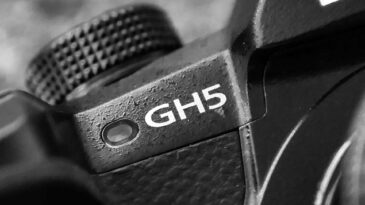 001 gh5 panasonic lumix kamera video foto photo test review performance mft sony comparison alpha