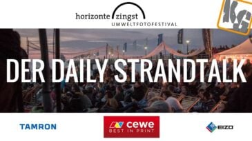 zingst 2016 krolop workshop martin festival wohnung unterkunft leben hotel ferienwohnung 11 800x450 1