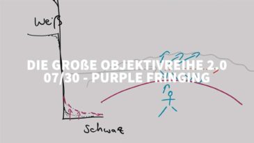 Blog Titelbild PURPLE FRINGING