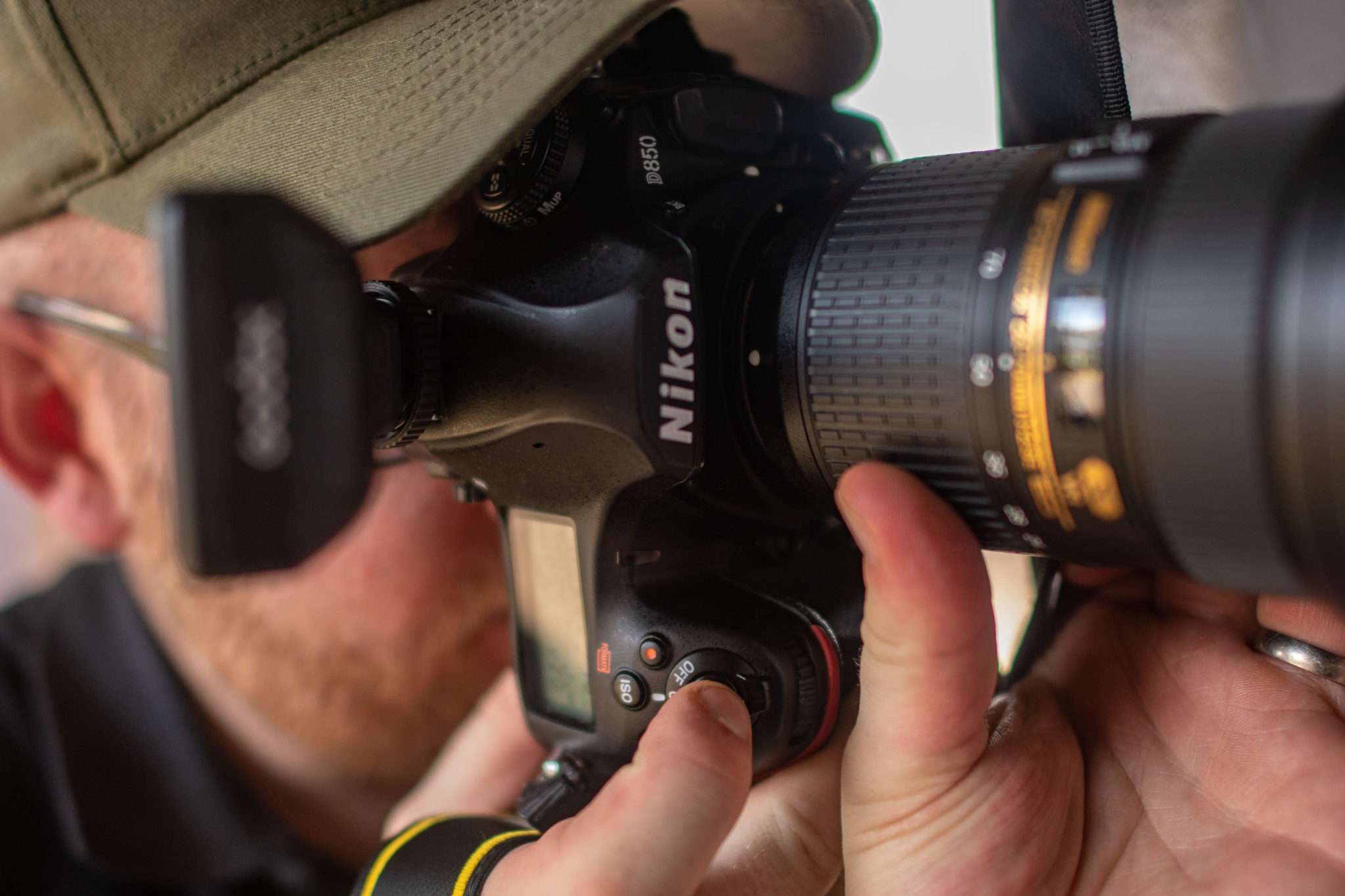 nikon albino mofdsc 1741