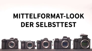 mf titel 1