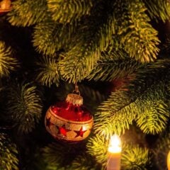 BLITZEN UNTERM TANNENBAUM 22 1519539 609085939127233 1788158648 o