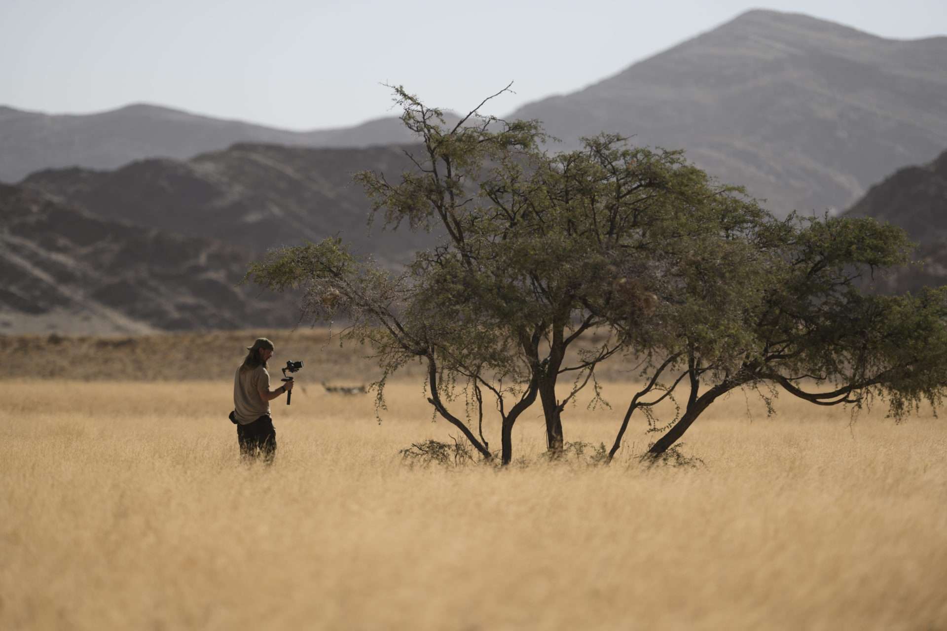 Destination Namibia 10 - Giraffen, Skorpione und Oasen! 6 DSC 7628 zusatz