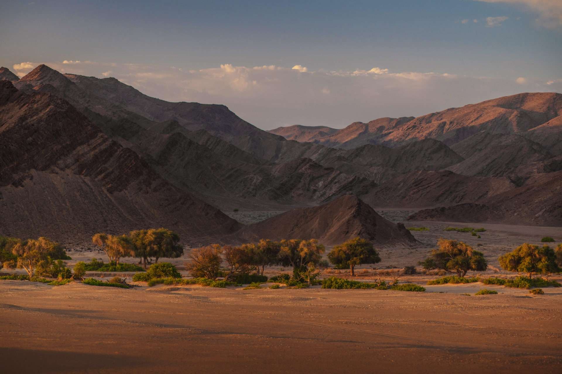 Destination Namibia 10 - Giraffen, Skorpione und Oasen! 1 DSC 7834 zusatz
