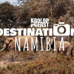 THUMBNAIL DESTINATION NAMIBIA 09 BLOG
