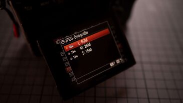 Über die Relativität von Megapixel und optischer Qualität 9 DSC 9497