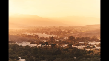 Falsche Exifs bei 200mm f2.0?! DESTINATION NAMIBIA TECH TALK 2 FALSCHE EXIFS BEI 200mm f2.0