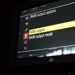 RAW-Video bei Nikon Z 19 RAW Output