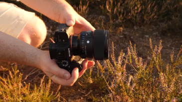 Sigma 85mm 1.4 DG DN Art für E- und L-Mount - Sachlich neutral im Test 6 Sigma 85mm Art 1