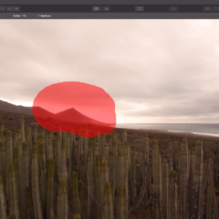 LUMINAR 4 - Objekte aus Bildern entfernen! 20 Luminar 4