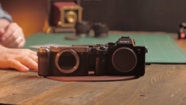 Sony alpha 7c