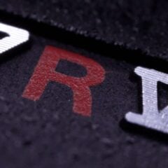Die neue SONY α7RV! AF-Power plus Megapixel! 17 SONY a7RV.00 00 14 12.Standbild003 scaled