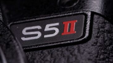 blog s5ii scaled