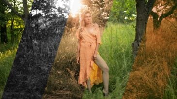 Fertige Bildlooks direkt aus der Kamera - Fotografie mit LUTs 7 blog titel 1 scaled