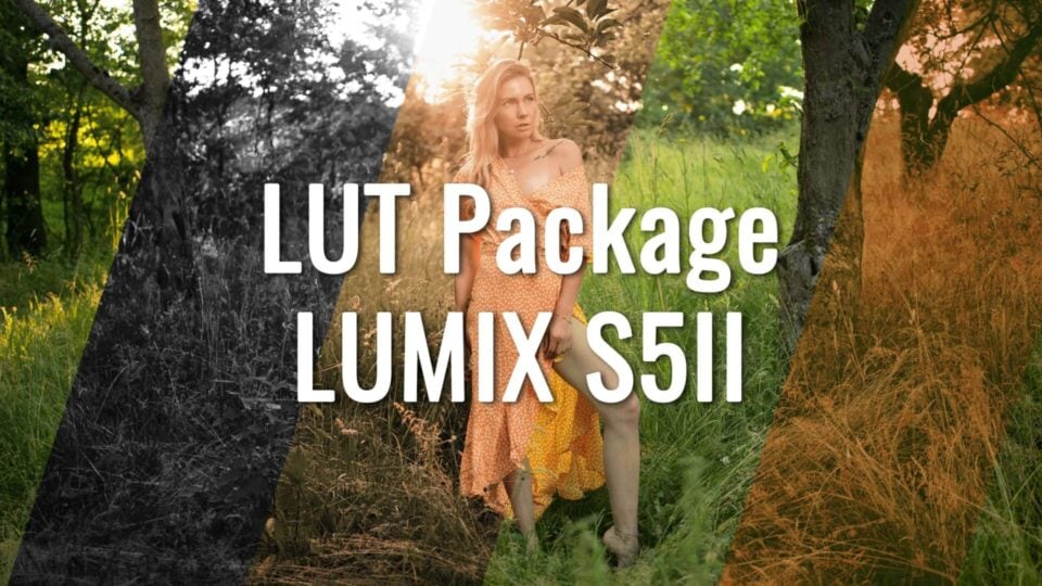 Lumix S5II LUT Package [Digital]