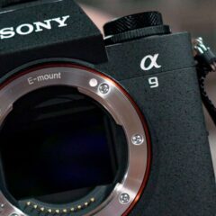 Sony A9III - Die nächste (R)Evolutionsstufe mit Global Shutter und 120fps 16 A9III BLOG scaled