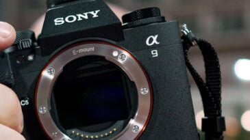 Sony A9III - Die nächste (R)Evolutionsstufe mit Global Shutter und 120fps 2 A9III BLOG scaled