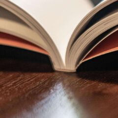 alr available light plus reflektor magazin buch lichtsetzter lehrbuch fotografie availablelight al reflektor 10