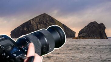 Thilo goes Azoren - Mit Tamron 35-150 und 150-500 5 AZOREN THILO BLOG scaled