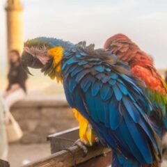 Travelreport aus der Türkei - Mit FUJIFILM & INSTA360 auf Reise by DIAMIR 12 DSCF0552 scaled