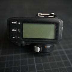 DSC 1556