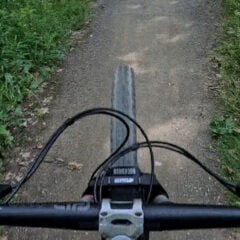 BLOG 4