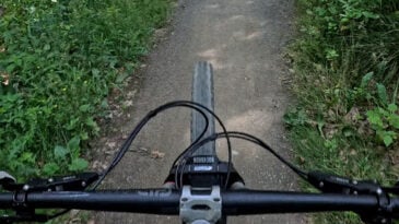 BLOG 4