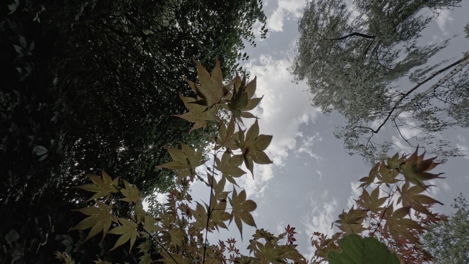 INSTA360 BIKE 061